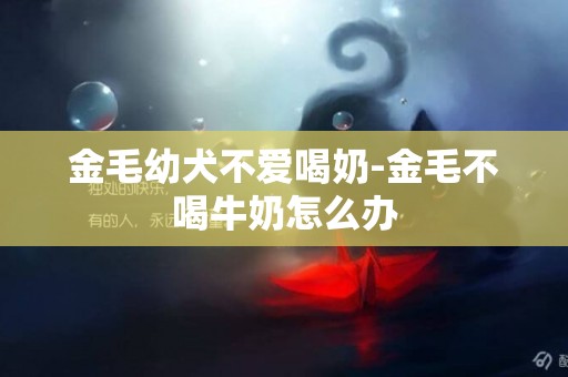 金毛幼犬不愛喝奶-金毛不喝牛奶怎么辦