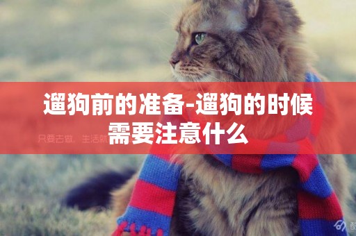 遛狗前的準備-遛狗的時候需要注意什么