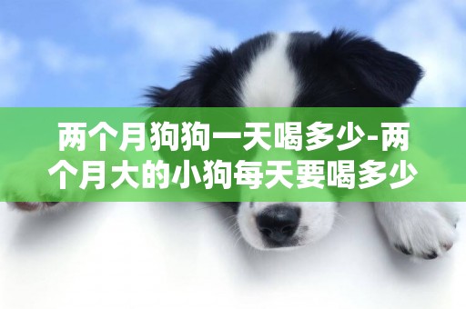 兩個月狗狗一天喝多少-兩個月大的小狗每天要喝多少水