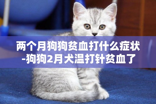 兩個月狗狗貧血打什么癥狀-狗狗2月犬溫打針貧血了