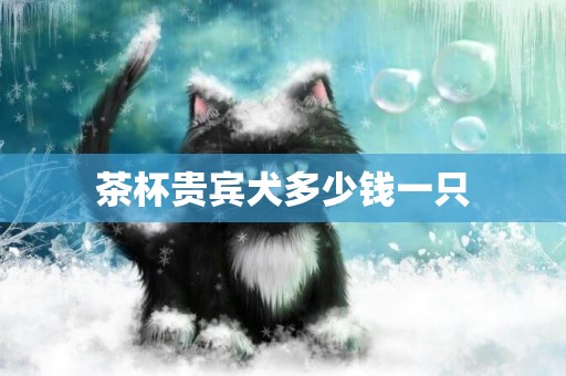 茶杯貴賓犬多少錢一只