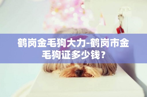 鶴崗金毛狗大力-鶴崗市金毛狗證多少錢？