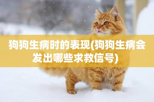 狗狗生病時的表現(狗狗生病會發出哪些求救信號) 