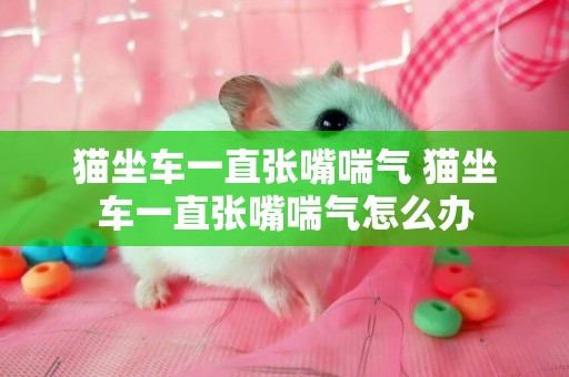 貓坐車一直張嘴喘氣 貓坐車一直張嘴喘氣怎么辦