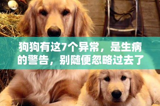 狗狗有這7個異常，是生病的警告，別隨便忽略過去了 