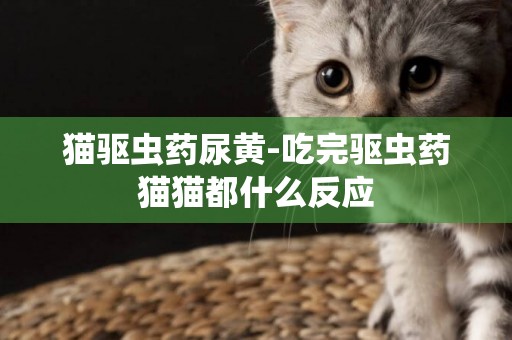 貓驅蟲藥尿黃-吃完驅蟲藥貓貓都什么反應