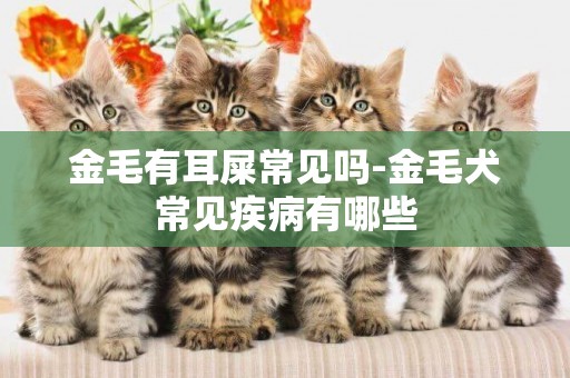 金毛有耳屎常見嗎-金毛犬常見疾病有哪些