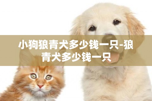 小狗狼青犬多少錢一只-狼青犬多少錢一只
