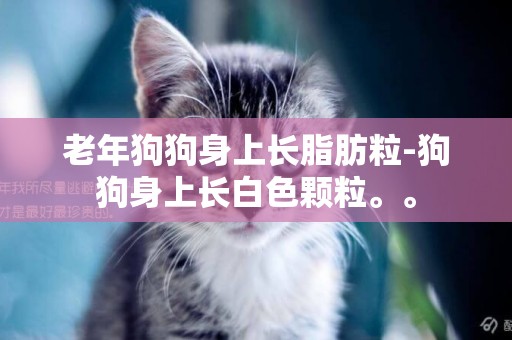 老年狗狗身上長脂肪粒-狗狗身上長白色顆粒。。