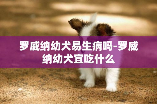 羅威納幼犬易生病嗎-羅威納幼犬宜吃什么