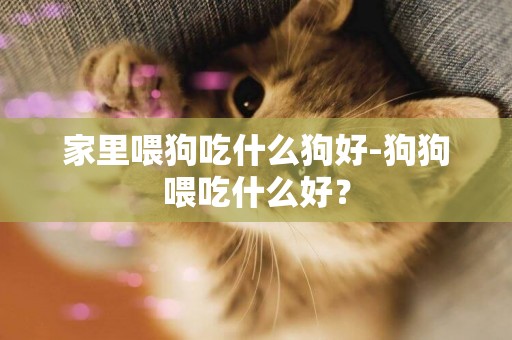 家里喂狗吃什么狗好-狗狗喂吃什么好？
