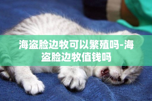 海盜臉邊牧可以繁殖嗎-海盜臉邊牧值錢嗎