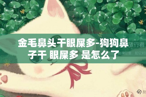 金毛鼻頭干眼屎多-狗狗鼻子干 眼屎多 是怎么了