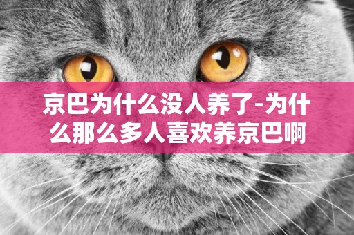 京巴為什么沒人養了-為什么那么多人喜歡養京巴啊