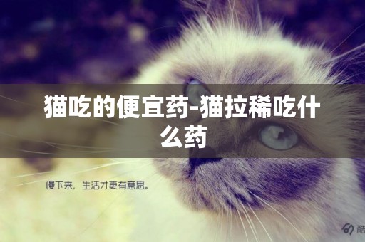 貓吃的便宜藥-貓拉稀吃什么藥