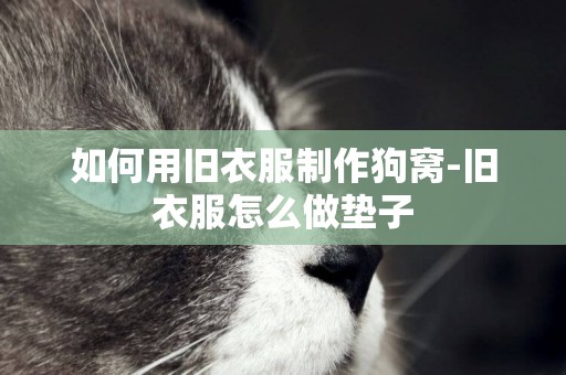 如何用舊衣服制作狗窩-舊衣服怎么做墊子