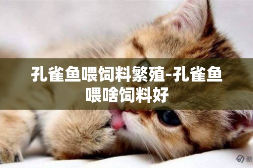孔雀魚喂飼料繁殖-孔雀魚喂啥飼料好