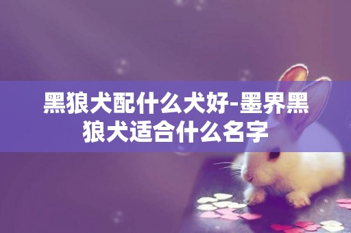 黑狼犬配什么犬好-墨界黑狼犬適合什么名字