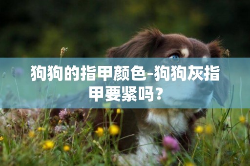 狗狗的指甲顏色-狗狗灰指甲要緊嗎？