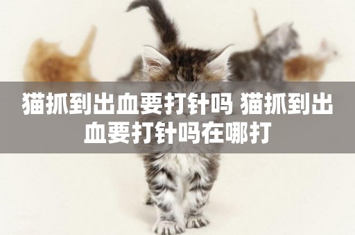 貓抓到出血要打針嗎 貓抓到出血要打針嗎在哪打