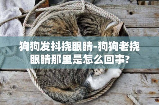 狗狗發抖撓眼睛-狗狗老撓眼睛那里是怎么回事?