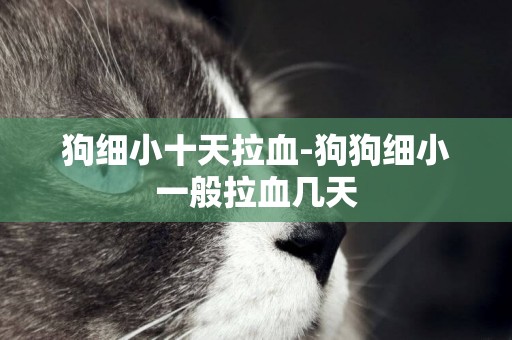 狗細小十天拉血-狗狗細小一般拉血幾天
