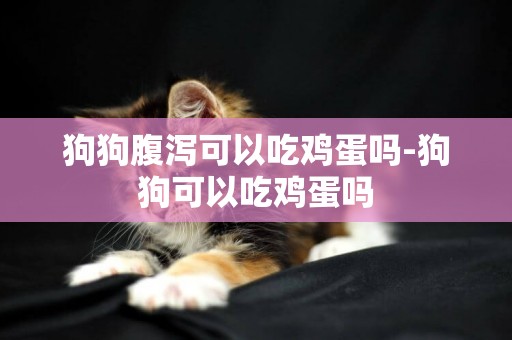 狗狗腹瀉可以吃雞蛋嗎-狗狗可以吃雞蛋嗎