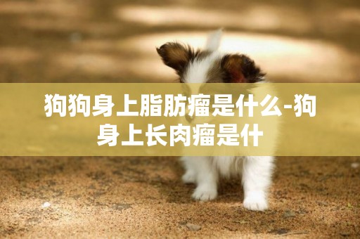 狗狗身上脂肪瘤是什么-狗身上長肉瘤是什
