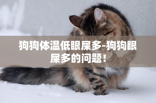 狗狗體溫低眼屎多-狗狗眼屎多的問題！