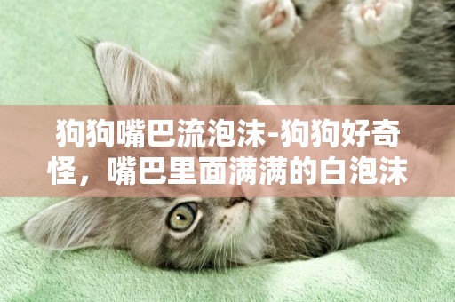 狗狗嘴巴流泡沫-狗狗好奇怪，嘴巴里面滿滿的白泡沫還會滴到地上··