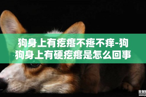 狗身上有疙瘩不疼不癢-狗狗身上有硬疙瘩是怎么回事