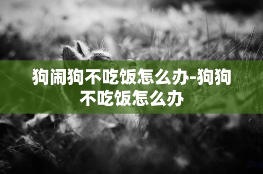 狗鬧狗不吃飯怎么辦-狗狗不吃飯怎么辦