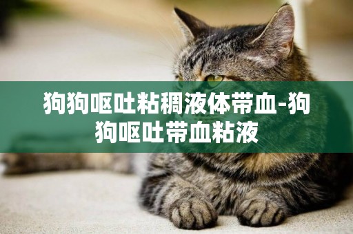 狗狗嘔吐粘稠液體帶血-狗狗嘔吐帶血粘液