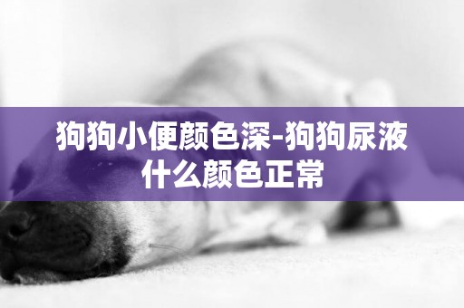 狗狗小便顏色深-狗狗尿液什么顏色正常