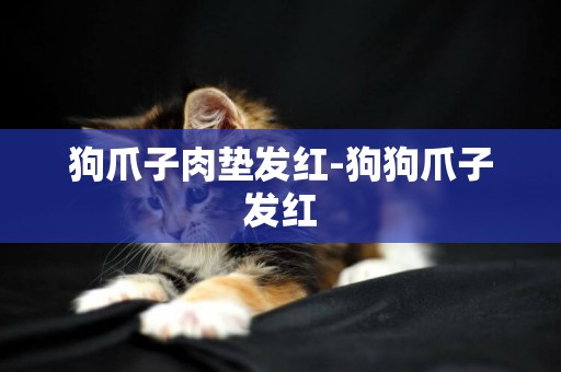 狗爪子肉墊發紅-狗狗爪子發紅