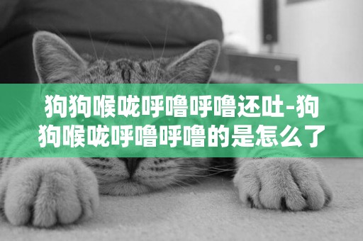 狗狗喉嚨呼嚕呼嚕還吐-狗狗喉嚨呼嚕呼嚕的是怎么了