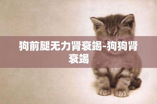 狗前腿無力腎衰竭-狗狗腎衰竭