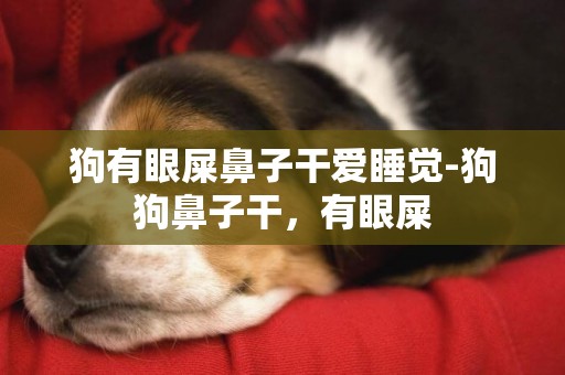 狗有眼屎鼻子干愛睡覺-狗狗鼻子干，有眼屎
