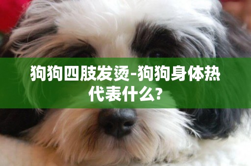 狗狗四肢發燙-狗狗身體熱代表什么?