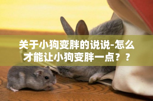 關于小狗變胖的說說-怎么才能讓小狗變胖一點？？