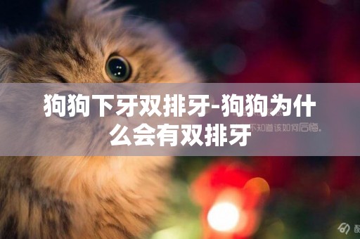狗狗下牙雙排牙-狗狗為什么會有雙排牙