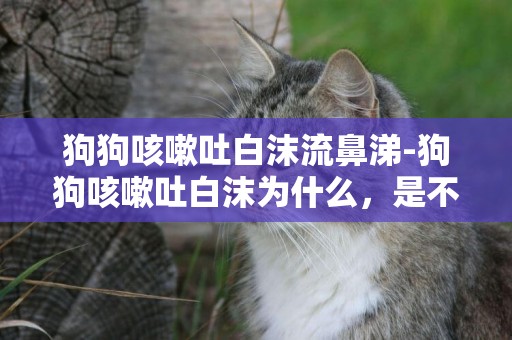 狗狗咳嗽吐白沫流鼻涕-狗狗咳嗽吐白沫為什么，是不是感冒了
