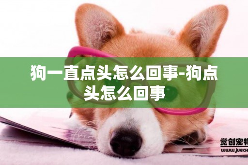 狗一直點頭怎么回事-狗點頭怎么回事