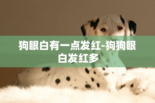 狗眼白有一點發紅-狗狗眼白發紅多