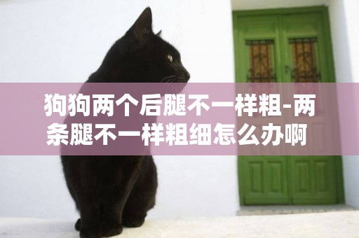 狗狗兩個后腿不一樣粗-兩條腿不一樣粗細怎么辦啊 ？