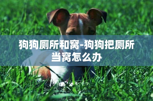 狗狗廁所和窩-狗狗把廁所當窩怎么辦