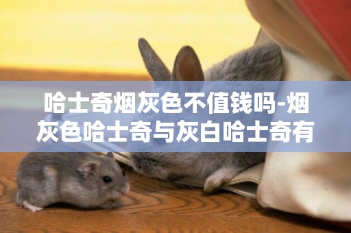 哈士奇煙灰色不值錢嗎-煙灰色哈士奇與灰白哈士奇有區別嗎？