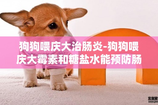狗狗喂慶大治腸炎-狗狗喂慶大霉素和糖鹽水能預防腸炎嗎