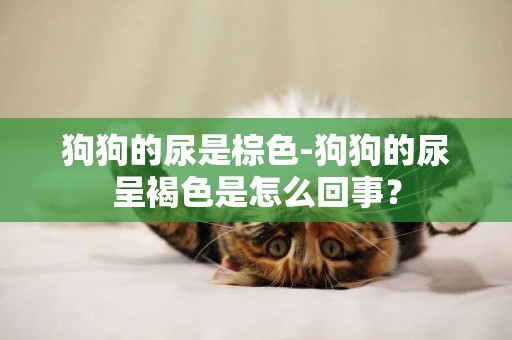 狗狗的尿是棕色-狗狗的尿呈褐色是怎么回事？