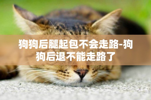 狗狗后腿起包不會走路-狗狗后退不能走路了
